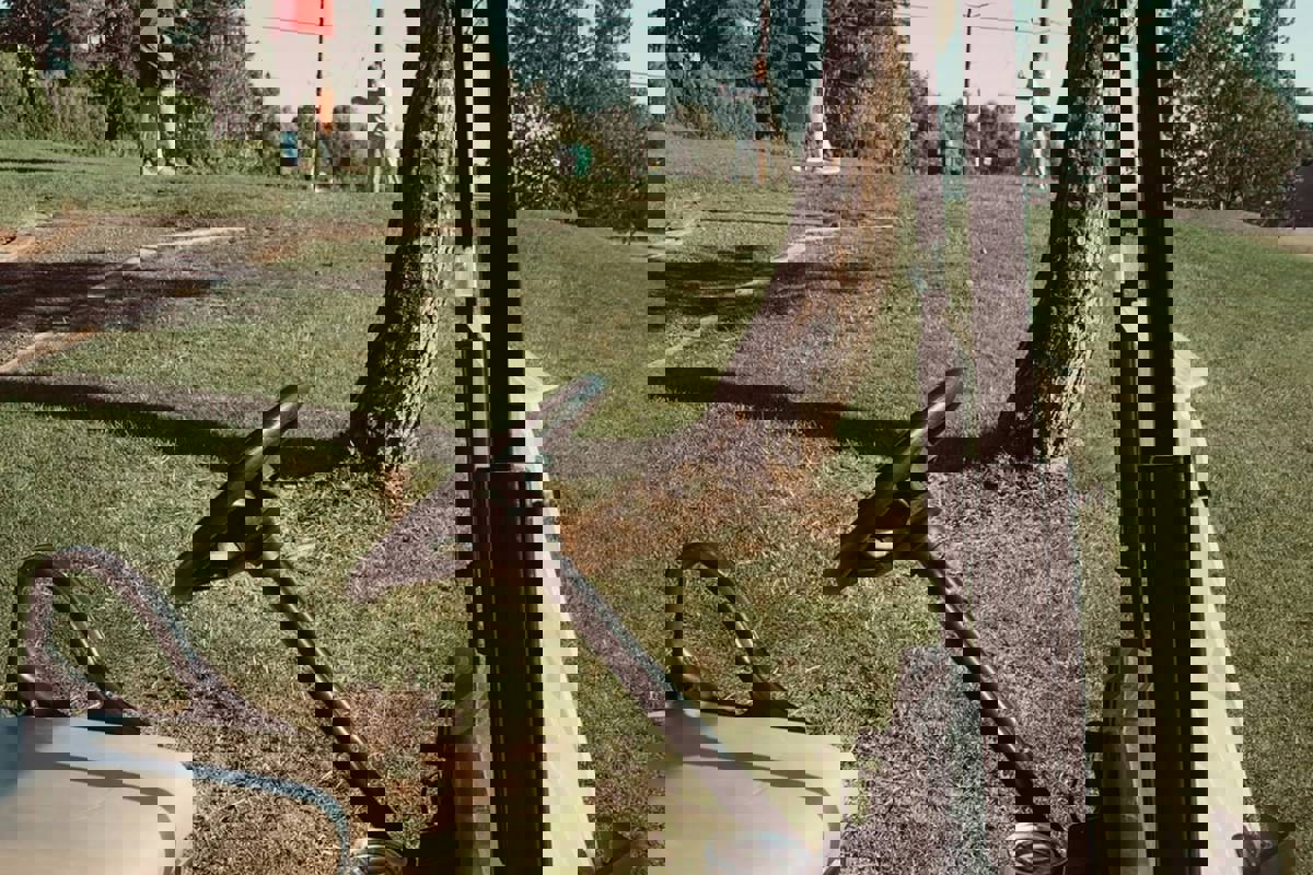 Laura Matthews Cki4kzxbg 0 Unsplash