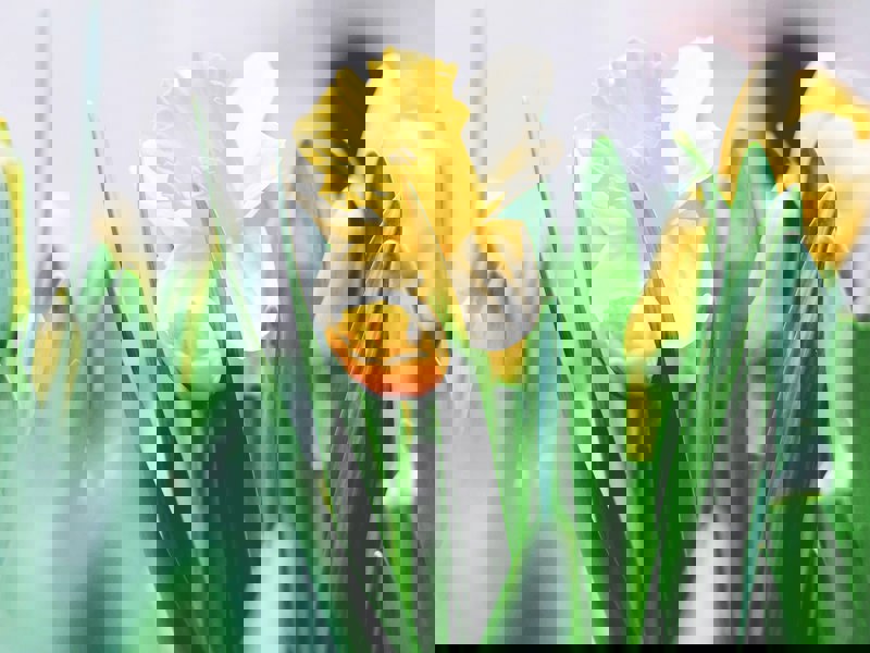Kansliets öppettider April 