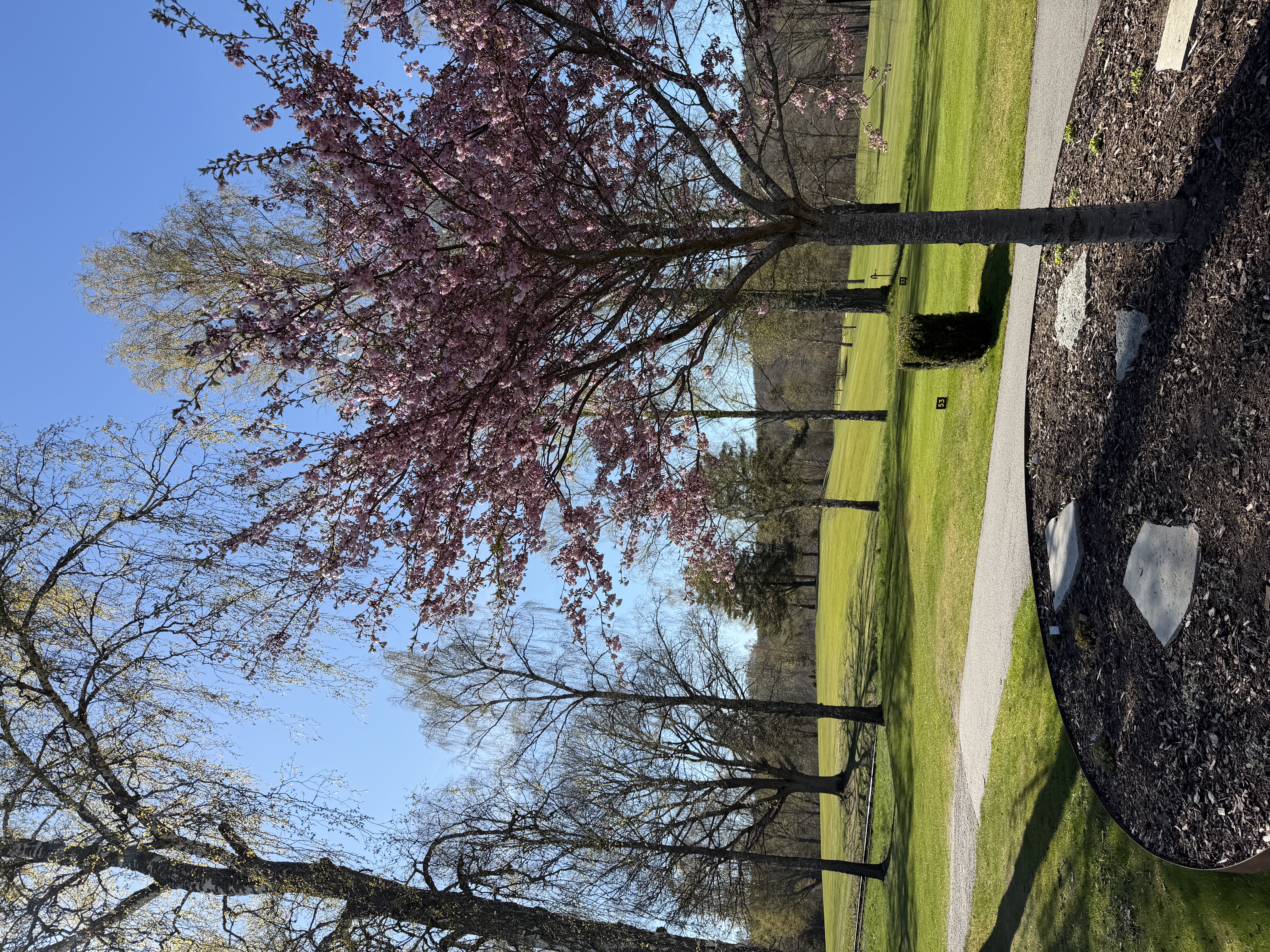 Nu öppnar vi upp igen - spel på vintergreener