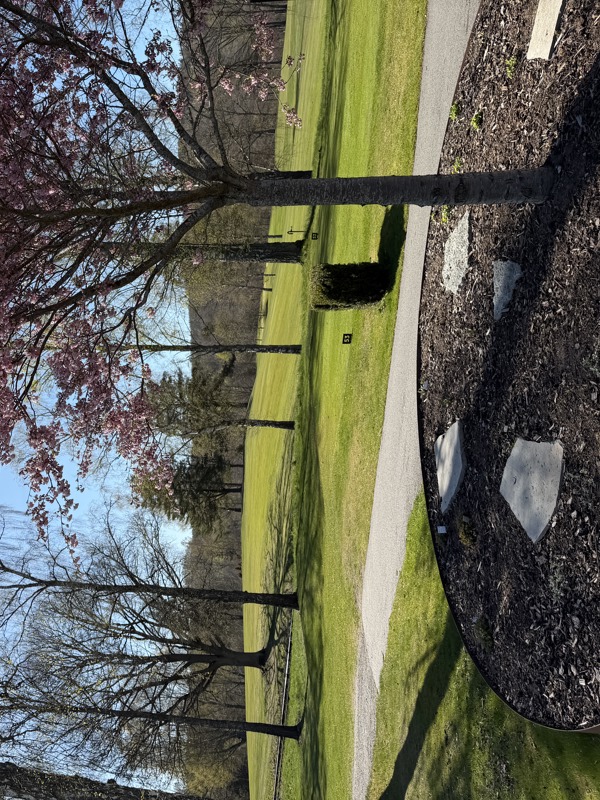 Nu öppnar vi upp igen - spel på vintergreener