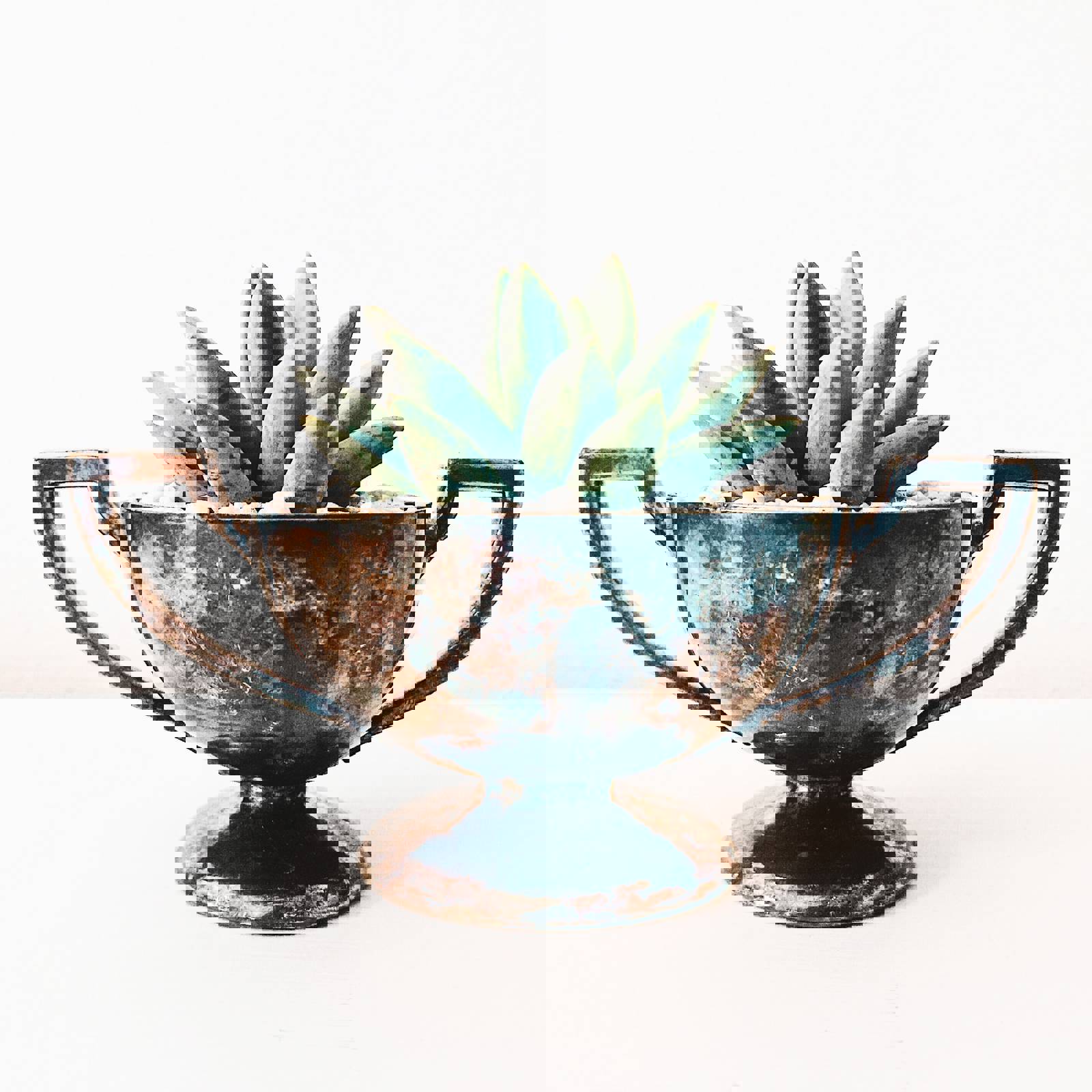 Stephanie Harvey Stgmxwnk9ry Unsplash