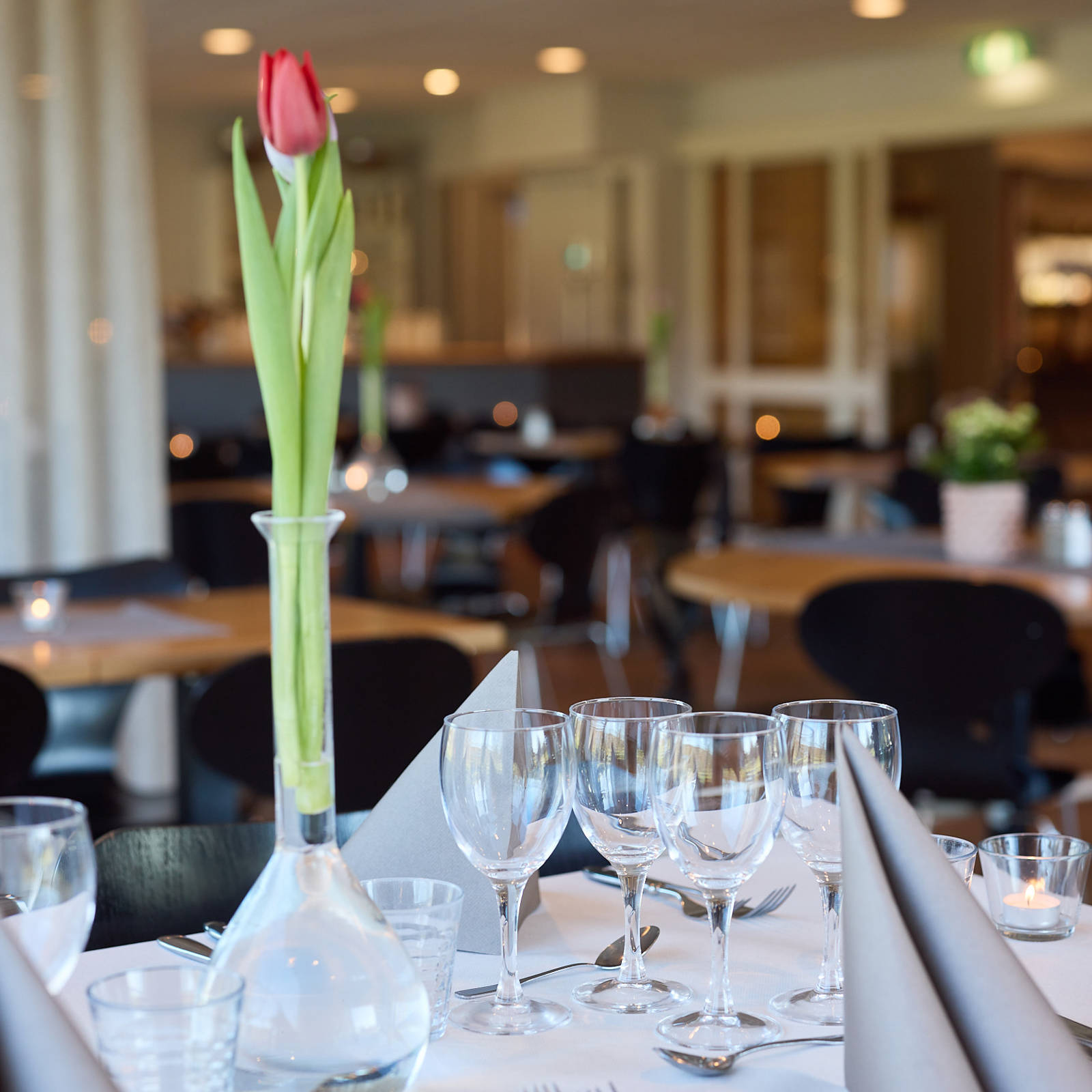 GK Resturang 250214 987