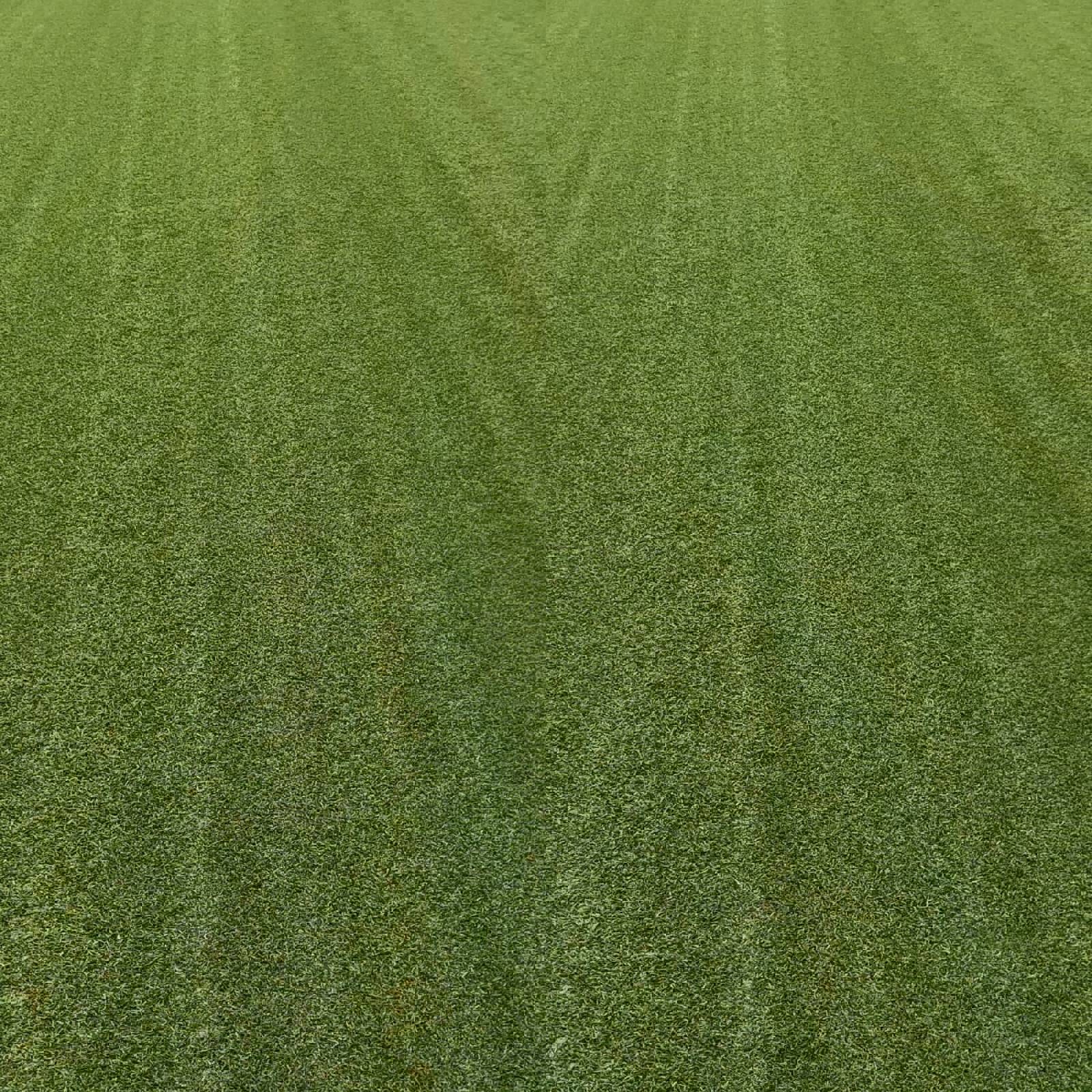 PHOTO 2025 12 15 16 19 15