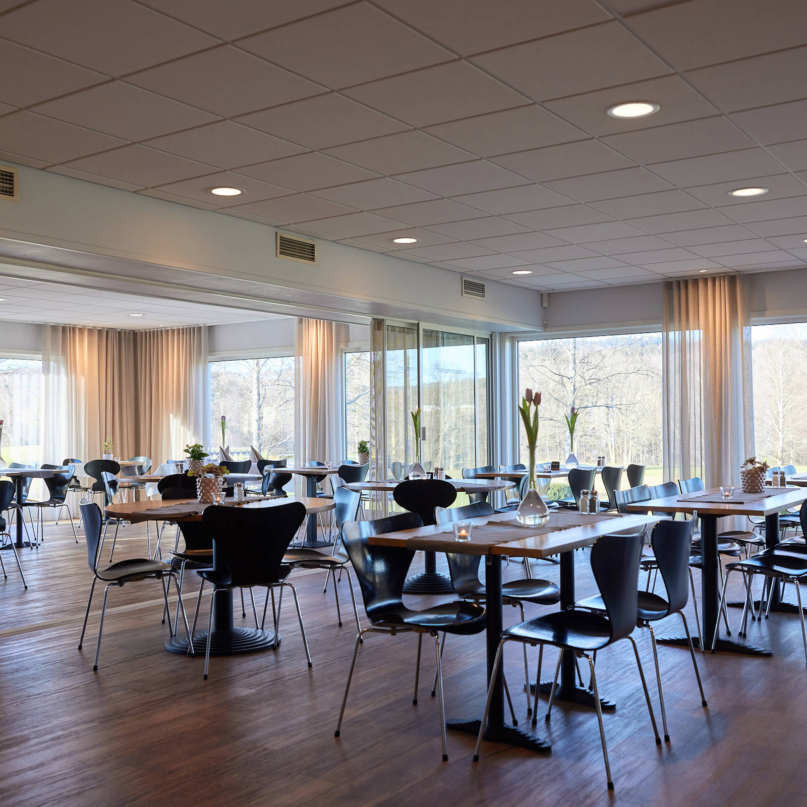 GK Resturang 250214 355