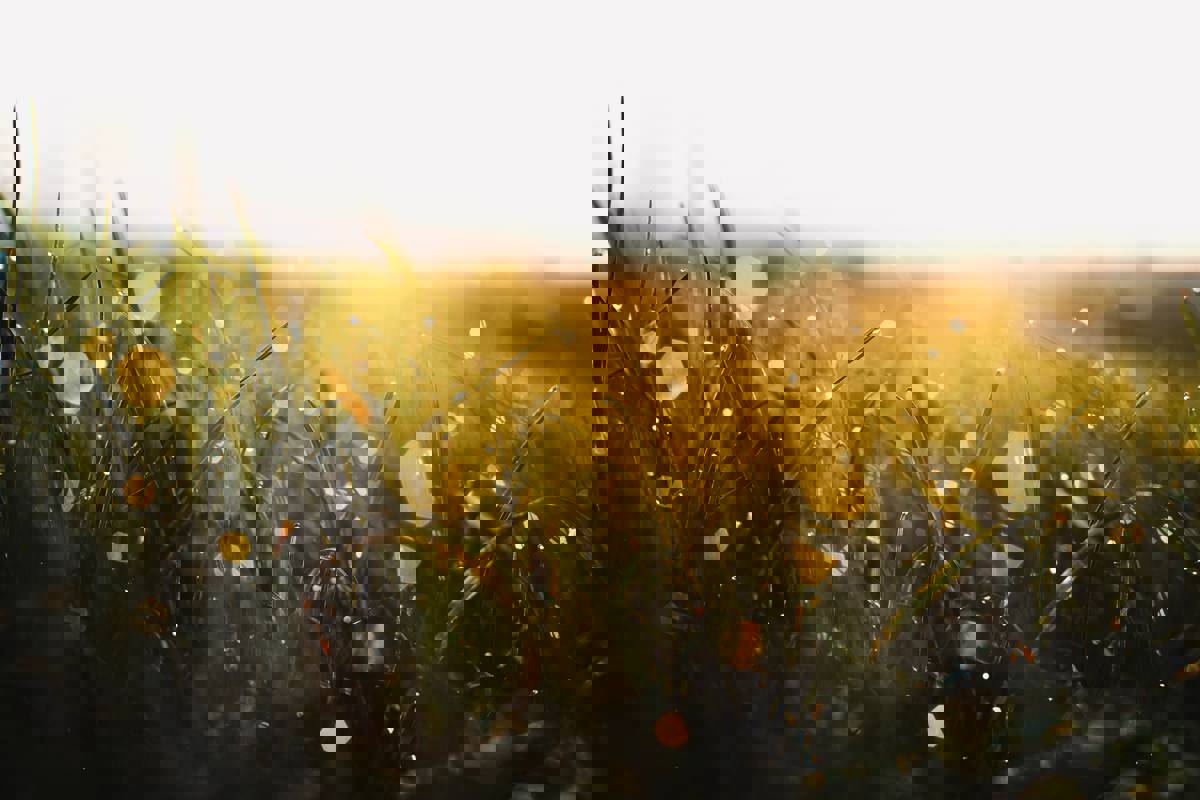 Jonas Allert Lheeyx0i0jy Unsplash