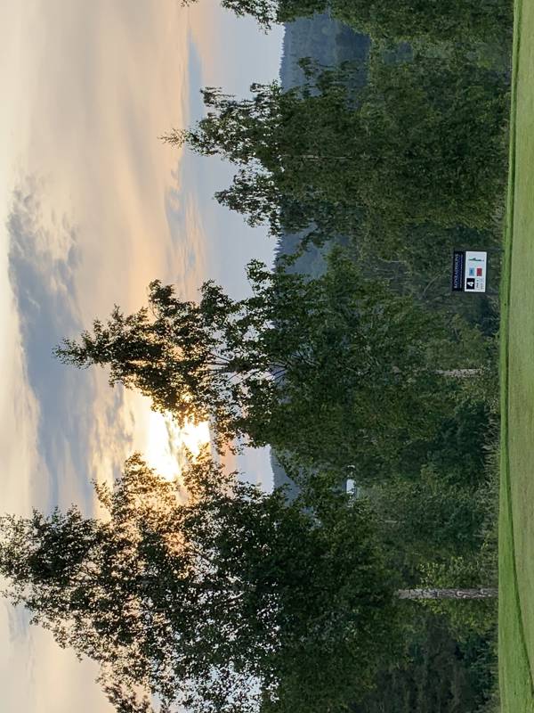 Onsdagsgolf med prisutdelning och mat 14/8 2024